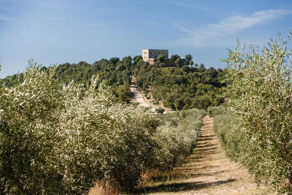 Tenuta Di Forte Sorgnano Gualdo Cattaneo Exterior photo