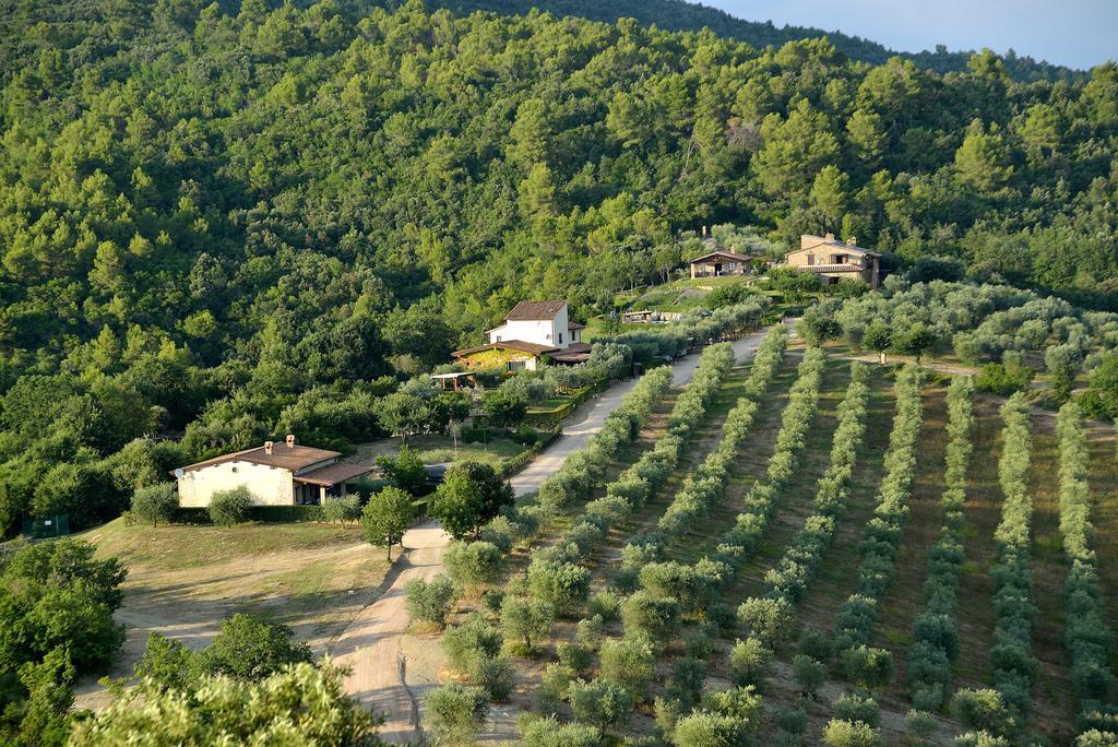 Tenuta Di Forte Sorgnano Gualdo Cattaneo Exterior photo